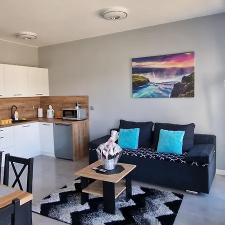 U Aleksandry Appartement *